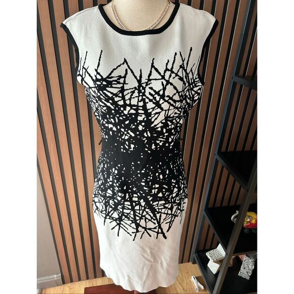 Calvin Klein Dresses & Skirts - Calvin Klein Women's size PM Sheath Dress Bodycon Textured Black White pattern